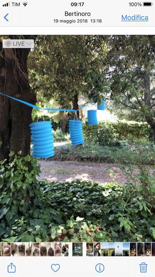Villa 225 Bracciano  Zewnętrze zdjęcie
