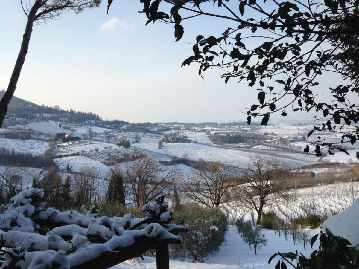 Villa 225 Bracciano  Zewnętrze zdjęcie